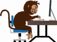 coding monkeys